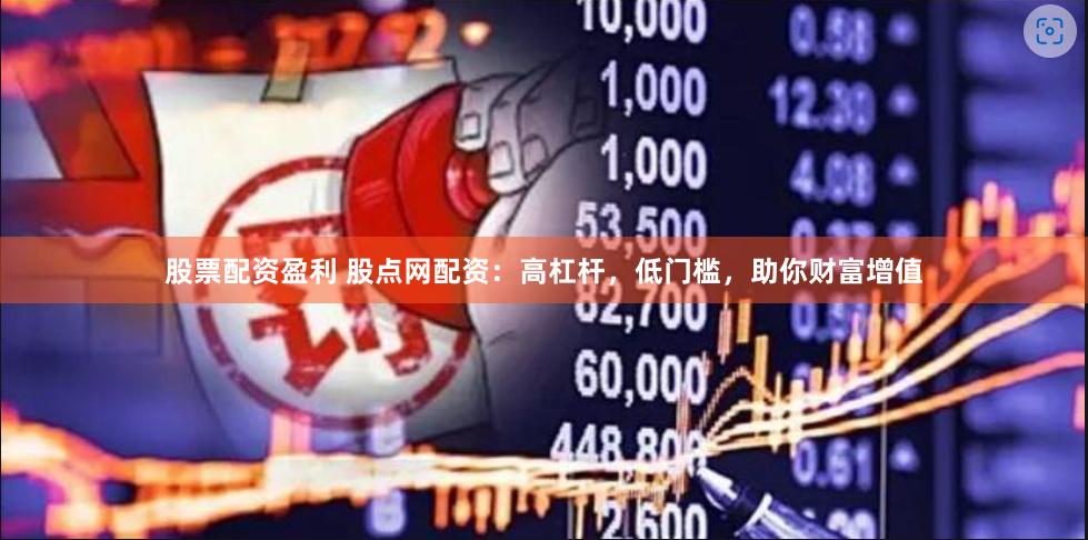 股票配资盈利 股点网配资：高杠杆，低门槛，助你财富增值