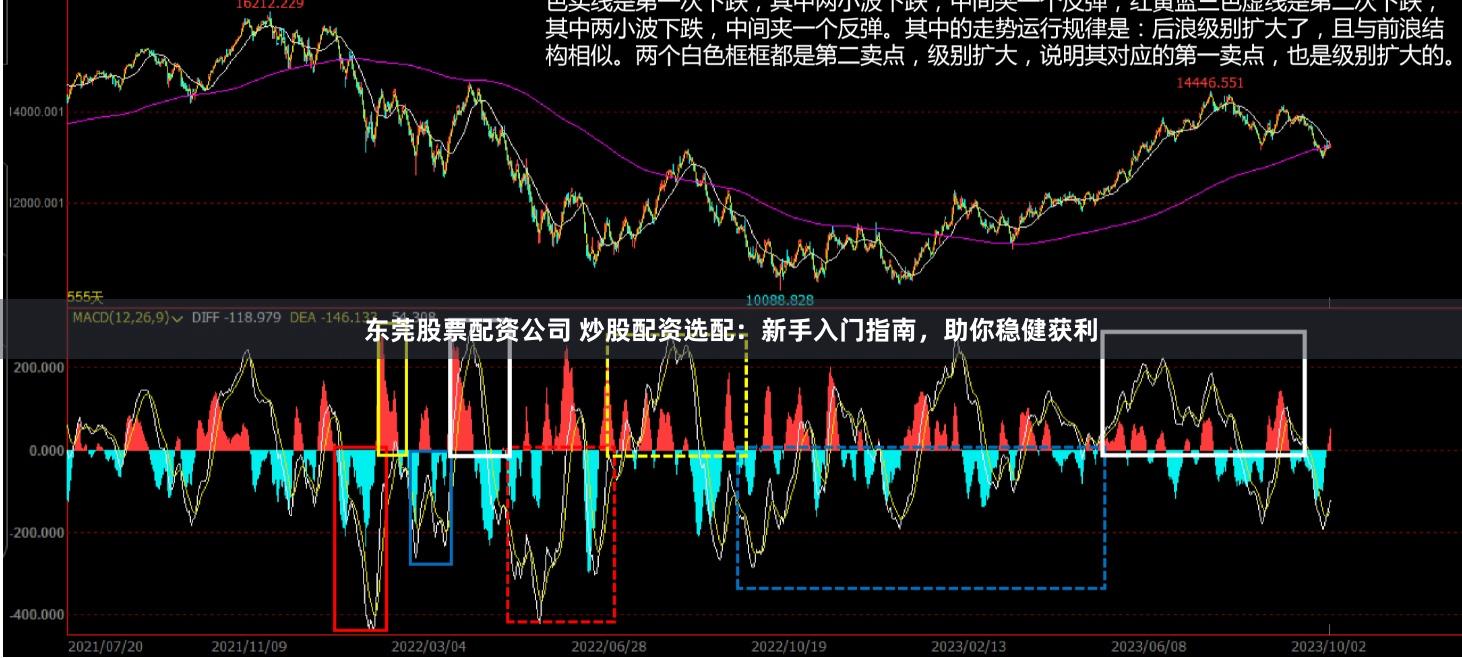 东莞股票配资公司 炒股配资选配：新手入门指南，助你稳健获利